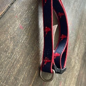 Adjustable dog color Boston Red Sox fan official merchandise